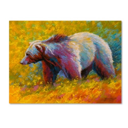 Marion Rose 'Pastel Grizz' Canvas Art,35x47